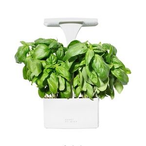 Short stories LED indoor planter